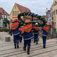 maibaum_ried_6.jpeg