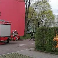 brand_mullcontainer_4-1.jpg