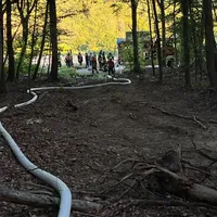 Brand Wald (5).jpeg
