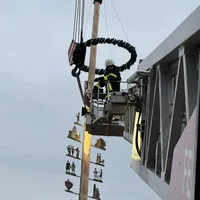 maibaum_ried_1.jpeg