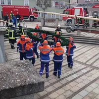 maibaum_ried_1-1.jpg