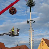 Maibaum 2025 (6).jpeg