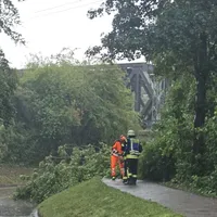 2026.08.28 Baum auf Fahrbahn (2).jpeg