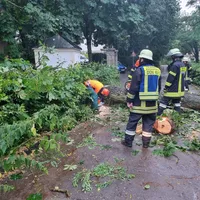 20230621_baum_auf_fahrbahn_schneegarten_4.jpeg