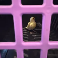 Tierrettung.jpeg