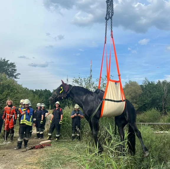 Pferd in der Kessel (10).jpeg