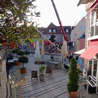abbau_maibaum_1.jpeg
