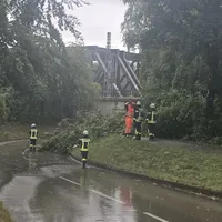 2026.08.28 Baum auf Fahrbahn (1).jpeg