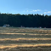 Brand Wald (8).jpeg