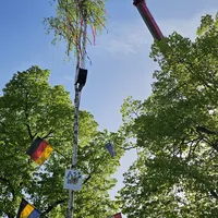 20240429_maibaum_neudegger_siedlung.jpeg
