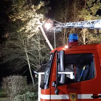 20231222_baum_auf_gebaude_8.jpeg