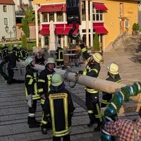 Maibaum 2025 (8).jpeg