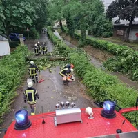 20230621_baum_auf_fahrbahn_schneegarten_6.jpeg