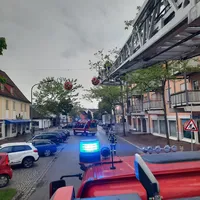 Unterstützung CID Blumenkugeln (9).jpeg