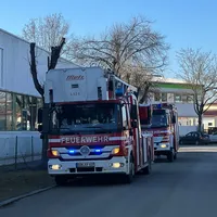 BMA Staudigel (2).jpeg