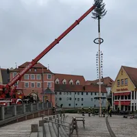 maibaum_ried_16.jpeg