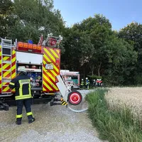 Brand Wald (10).jpeg