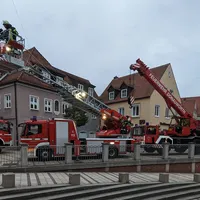 maibaum_ried_21.jpeg